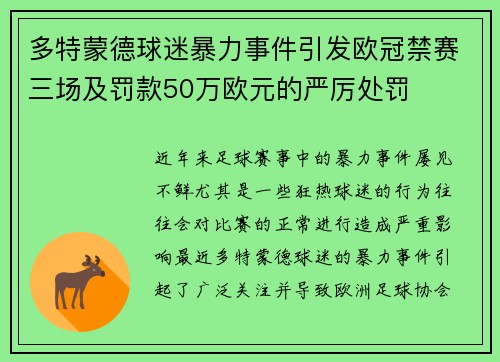 多特蒙德球迷暴力事件引发欧冠禁赛三场及罚款50万欧元的严厉处罚